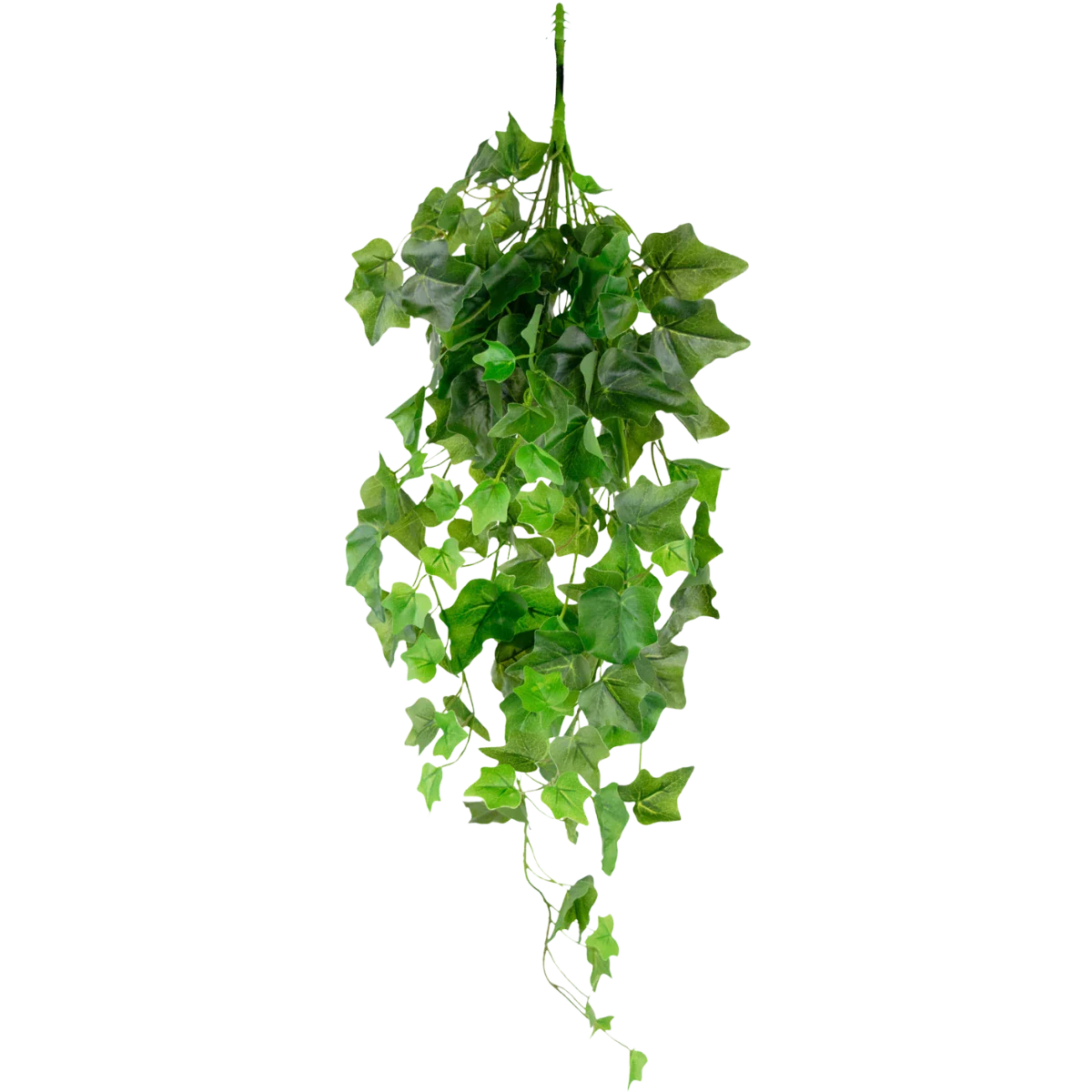 Mchten Sie knstlichen Efeu kaufen? Knstliche Hedera von  Easyplants  Deutschland
