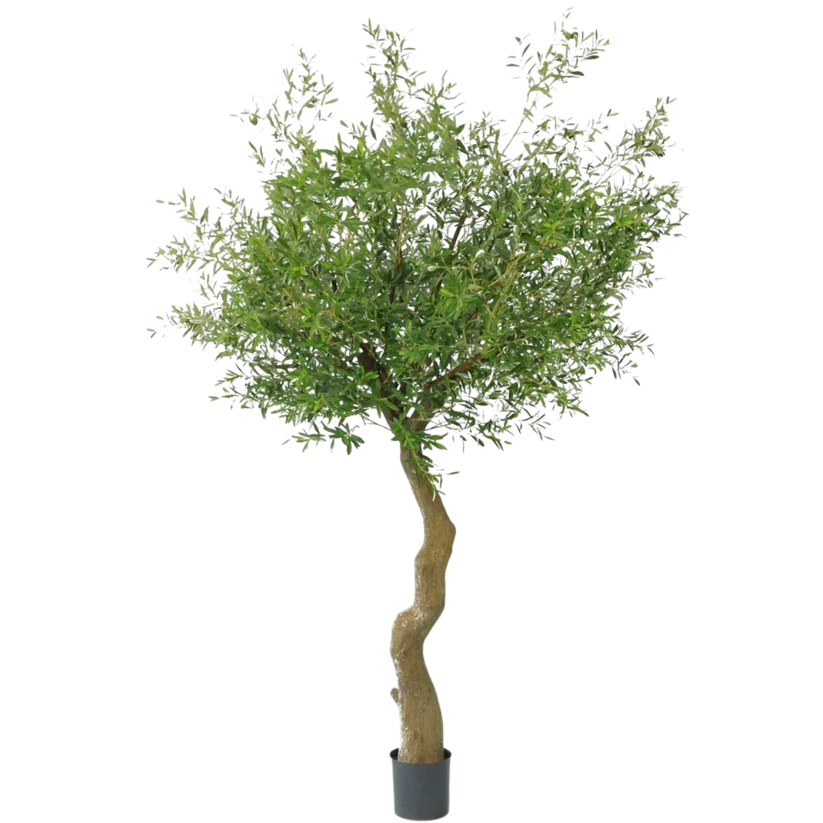 Mchten Sie einen knstlichen Baum kaufen? Beste Qualitt bei Easyplants!   Easyplants Deutschland