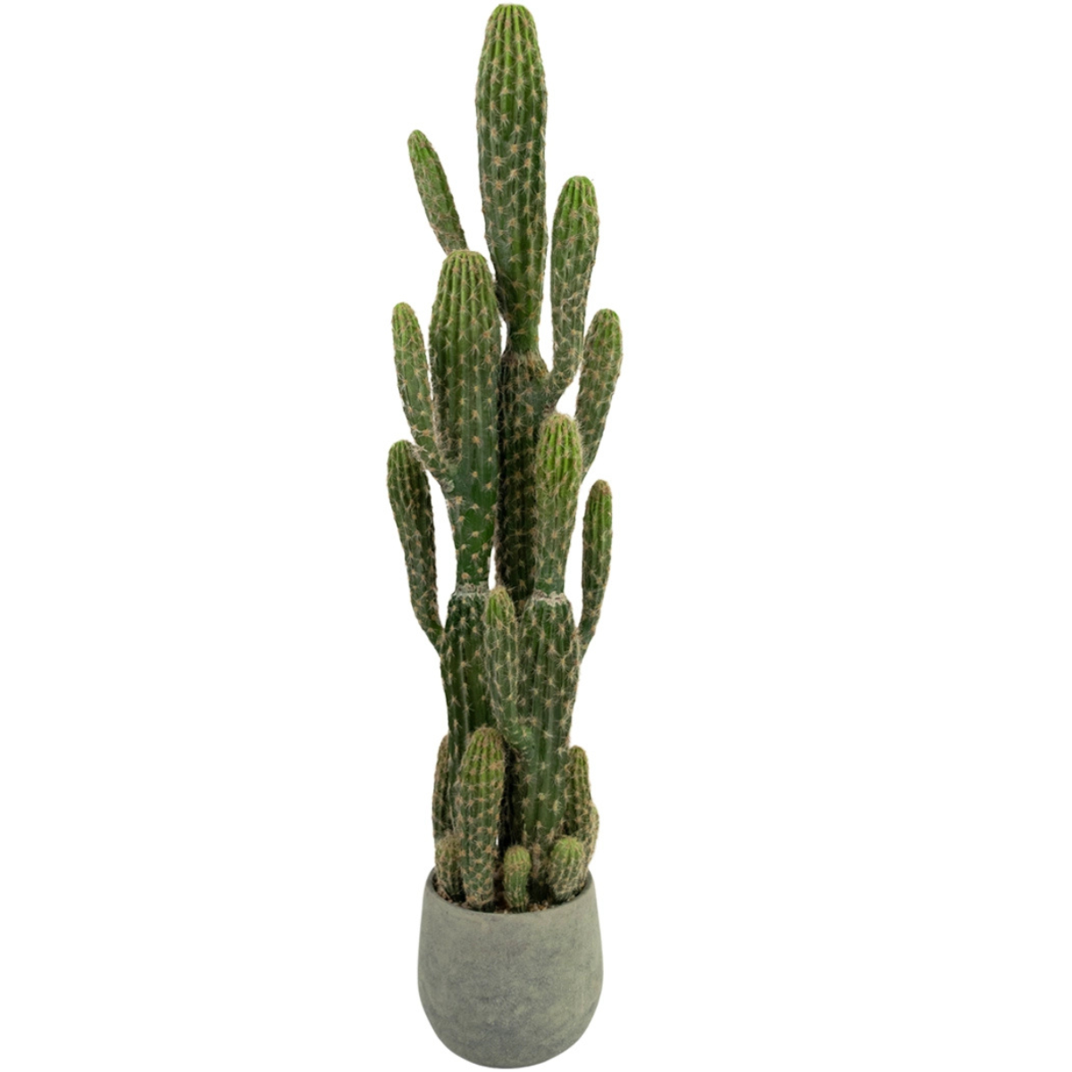 Knstlichen Kaktus kaufen? Beste Qualitt geflschte Kaktus aus   Easyplants Deutschland
