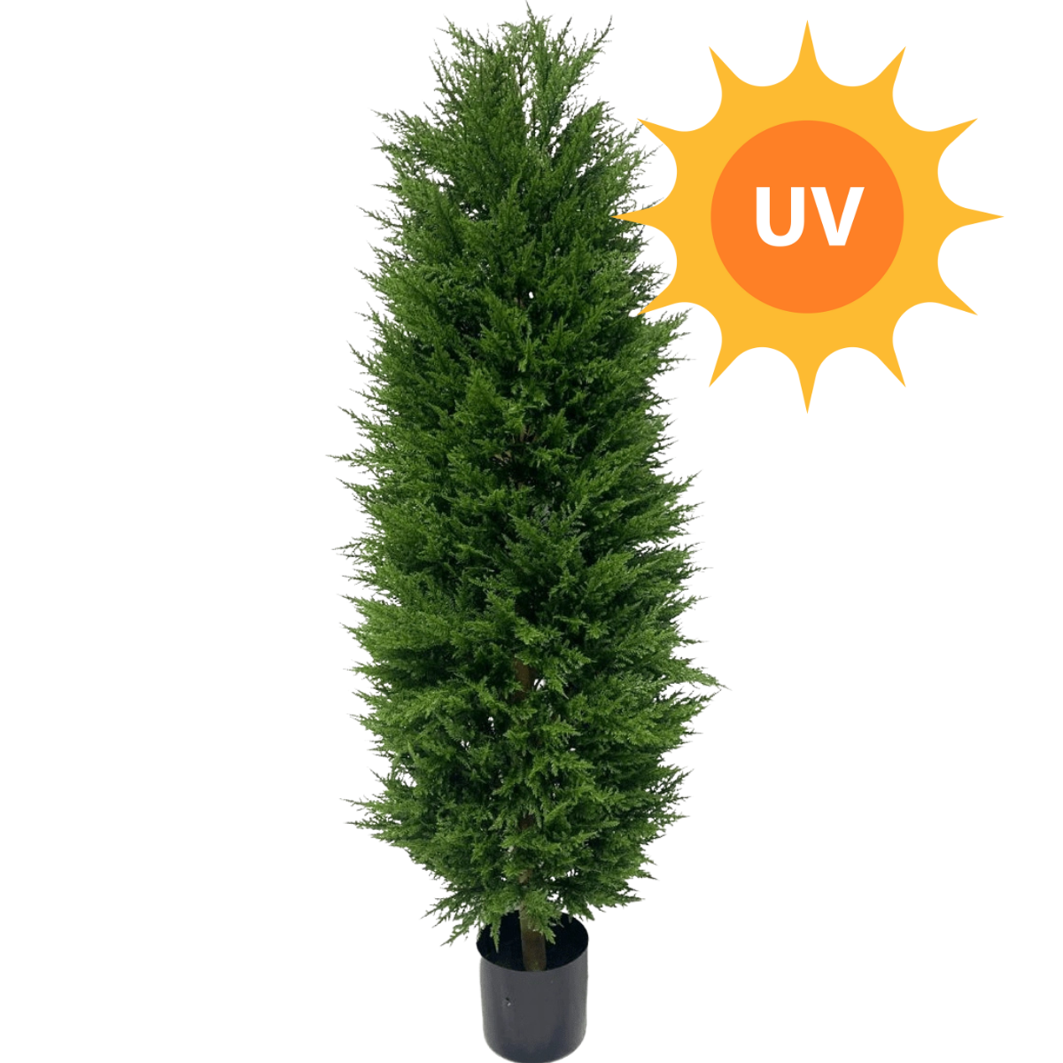 Knstliche Pflanze Konifere UV  Easyplants Deutschland