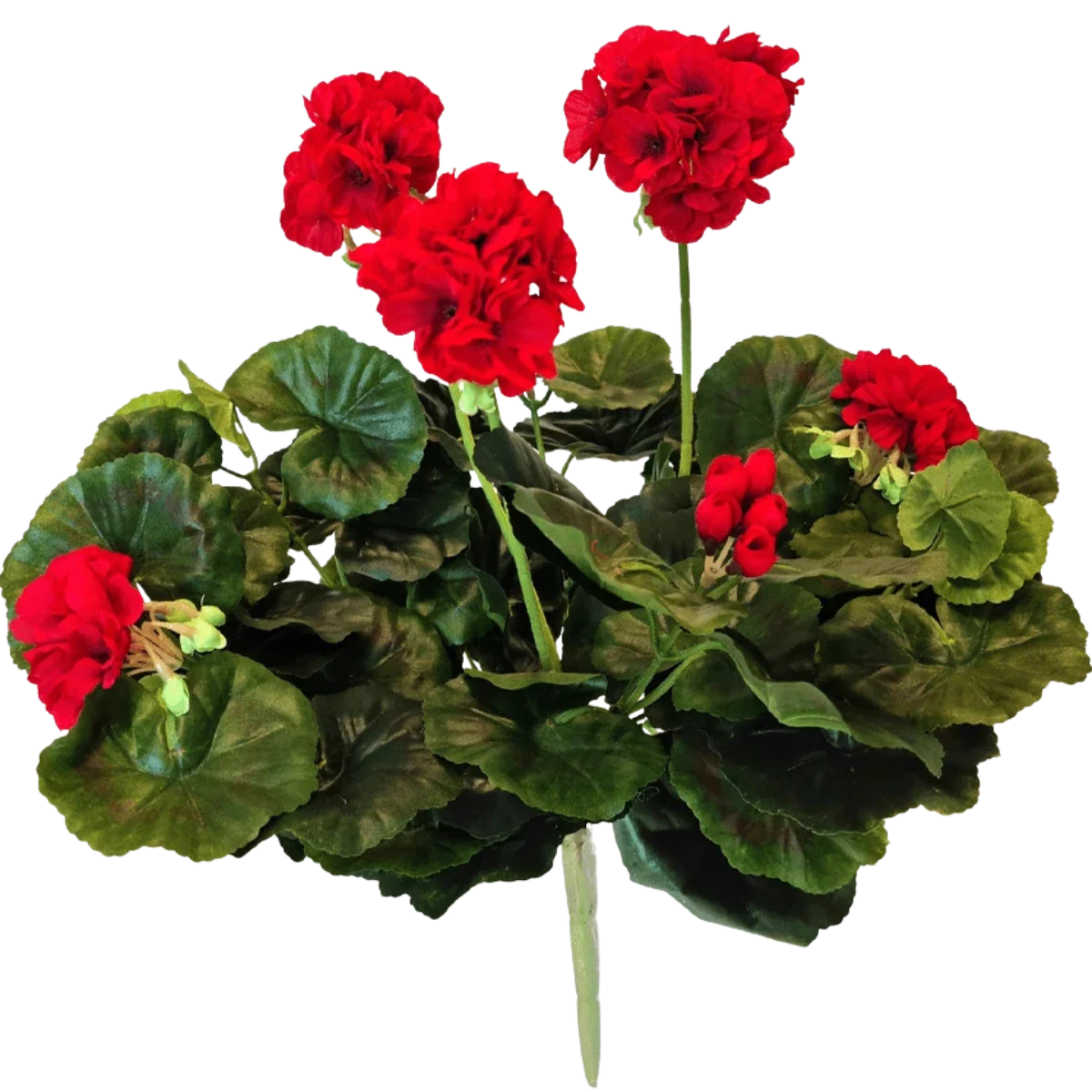 Sie mchten eine knstliche Geranie kaufen? 40 cm mit Farbe!  Easyplants  Deutschland