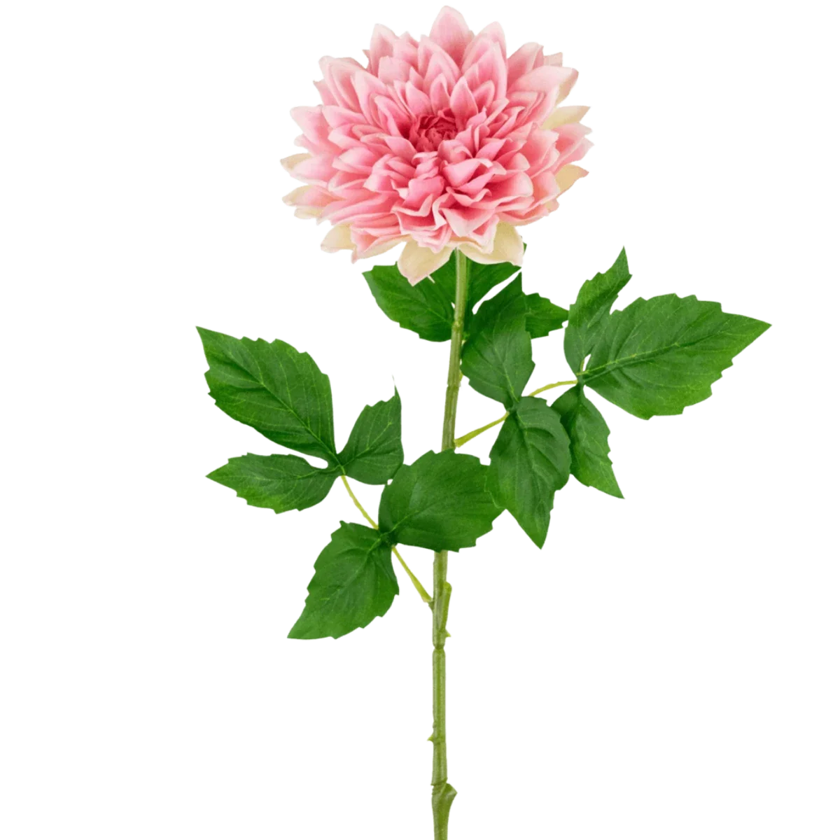 Seidenblumen und knstliche Blumen kaufen? Hchste Qualitt knstlicher  Blumen  Easyplants Deutschland