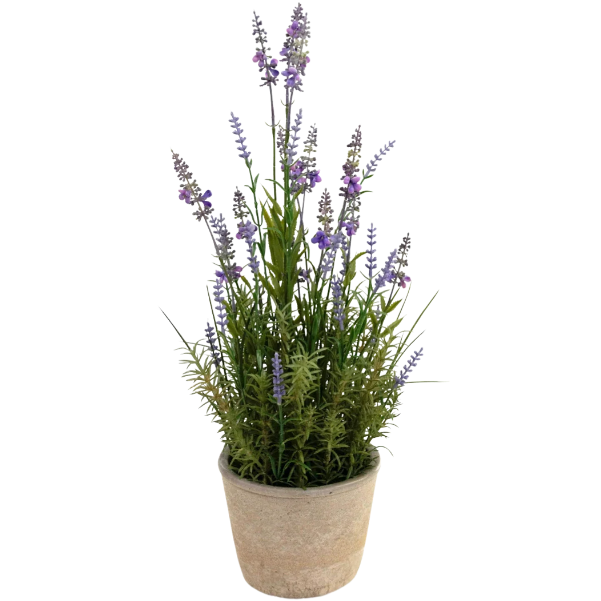 Knstlichen Lavendel kaufen? Schnell online bestellen!  Easyplants  Deutschland