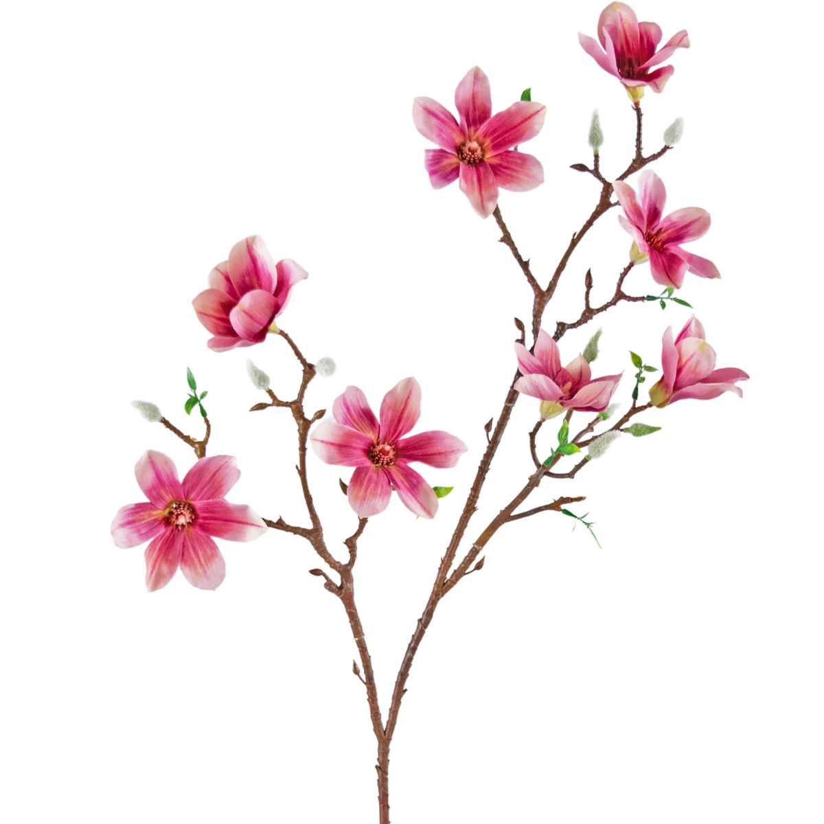 Mchten Sie knstliche Magnolien kaufen? Schon ab 7,84 !  Easyplants  Deutschland