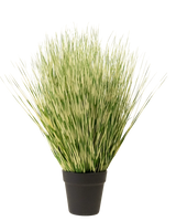Die Kunstrasenpflanze Zebra 55 cm hat lange, dünne grün-weiß bunte grasähnliche Blätter in einem einfachen schwarzen Topf vor einem schlichten weißen Hintergrund.