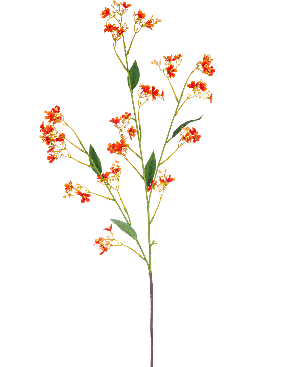 Der künstliche Zweig Daphne Spray 108 cm orange hat einen einzelnen, langen künstlichen Zweig mit kleinen leuchtend orangefarbenen Blüten und grünen Blättern vor einem schlichten weißen Hintergrund.