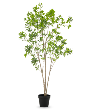 Die Kunstpflanze Pieris Japonica 210 cm hat mehrere schlanke braune Stängel und reichlich grüne Blätter, präsentiert in einem hohen Topf vor einem schlichten weißen Hintergrund.