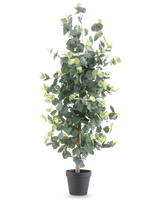 Die Kunstpflanze Eukalyptus 91 cm hat hohe, realistische runde grüne Blätter und kleine gelbe Knospen in einem schwarzen Topf vor einem schlichten weißen Hintergrund.
