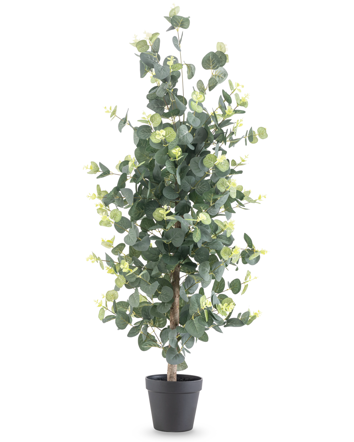 Die Kunstpflanze Eukalyptus 91 cm hat hohe, realistische runde grüne Blätter und kleine gelbe Knospen in einem schwarzen Topf vor einem schlichten weißen Hintergrund.