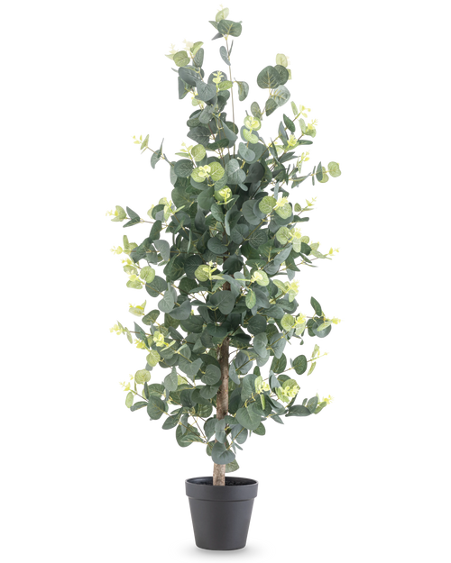 Kunstpflanze Eukalyptus 91 cm mit runden grünen Blättern und kleinen gelben Akzenten in einem schwarzen Topf, dargestellt vor einem schlichten weißen Hintergrund.