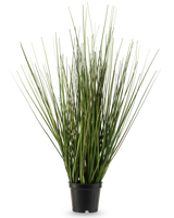 Die feuerhemmende Kunstrasenpflanze Zwiebel 50 cm hat lange, schmale grüne Stängel, die aufrecht wachsen und sich leicht verjüngen, in einen kleinen schwarzen Plastiktopf vor einem schlichten weißen Hintergrund.
