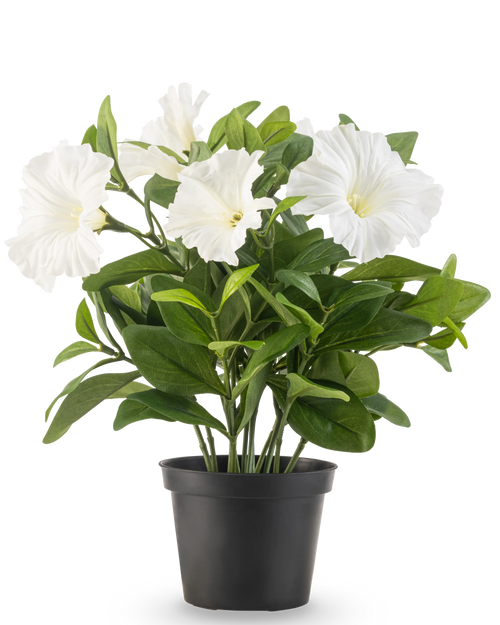 Die künstliche Blumenpflanze Petunie UV 25 cm hoch hat große weiße trompetenförmige Blüten und üppig grüne Blätter in einem schwarzen Kunststofftopf vor einem schlichten weißen Hintergrund.