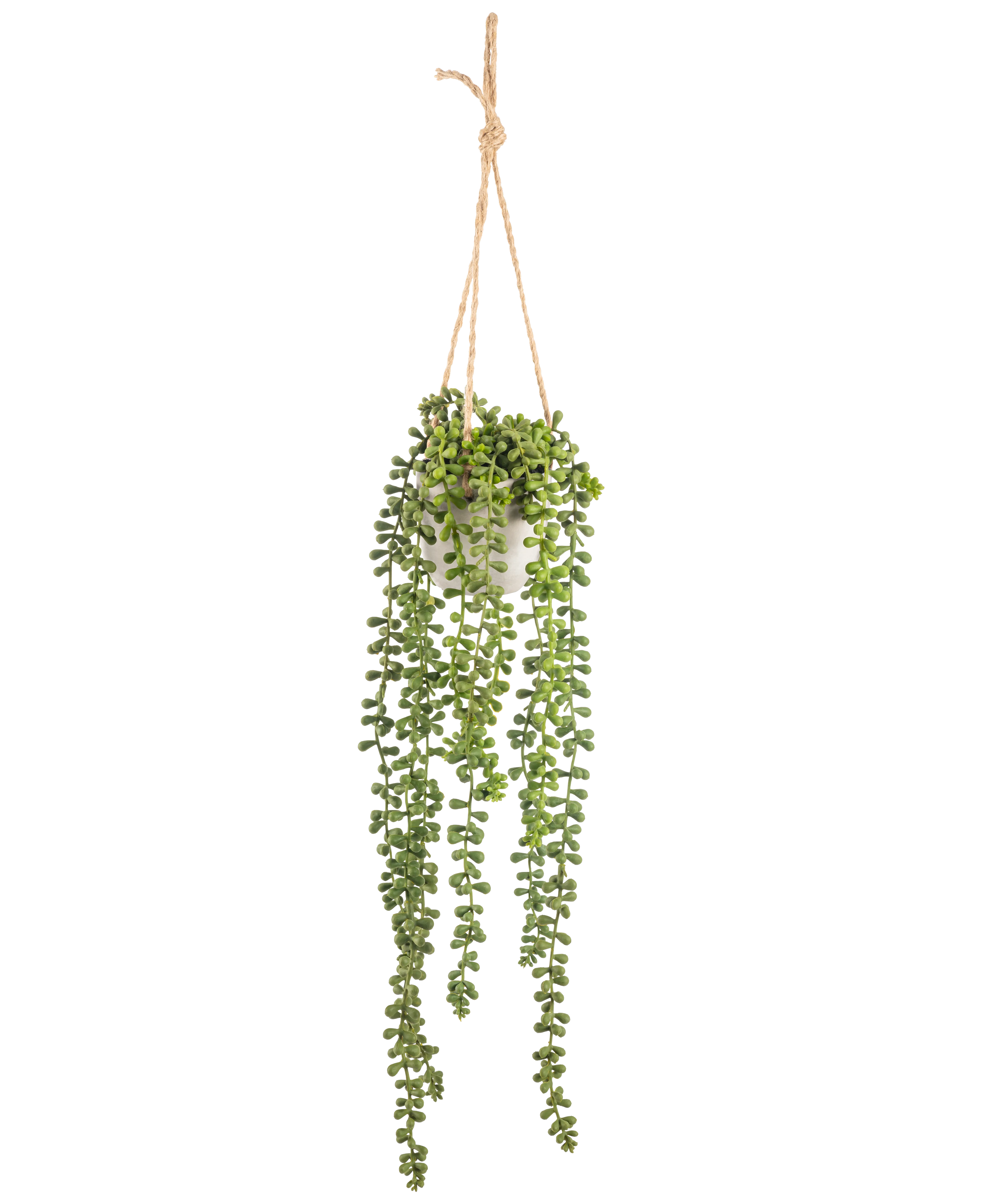 Künstliche Hängepflanze Senecio im Topf 55 cm – Easyplants Deutschland