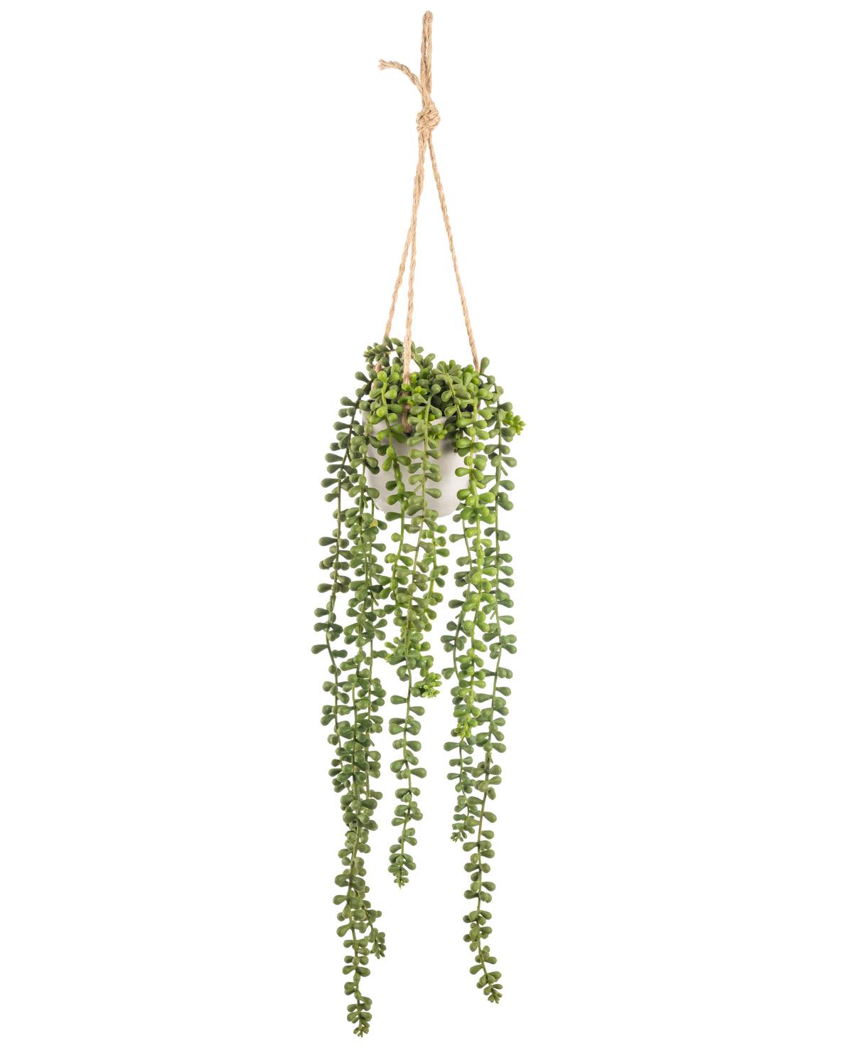 Die künstliche Senecio-Hängepflanze im Topf 55 cm hat lange grüne Hängestiele mit runden Blättern und hängt in einem weißen Topf an einem hellbraunen Seil, perfekt, um jedem Raum mehr Grün zu verleihen.