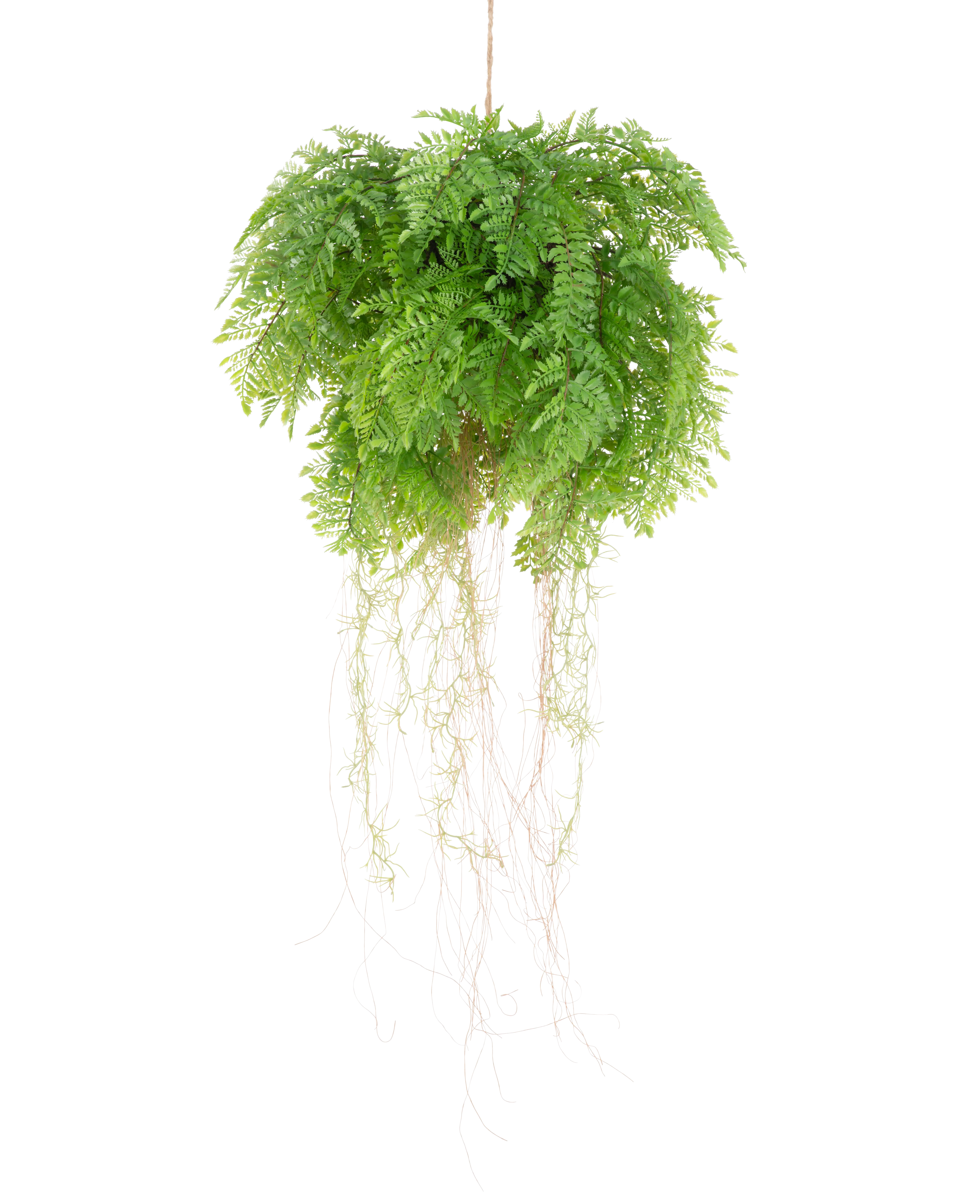Künstliche Hängepflanze Farn mit Wurzeln d55 cm – Easyplants Deutschland