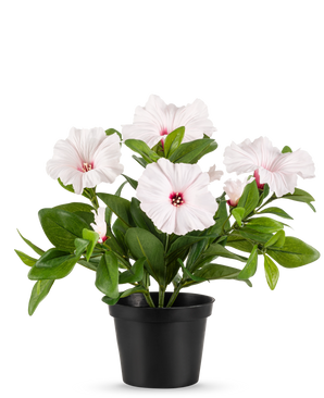 Die künstliche Blumenpflanze Petunie 25 cm rosa steht in einem schwarzen Topf mit mehreren hellrosa, fünfblättrigen Blüten mit dunkelrosa Herz und gelben Staubgefäßen vor einem schlichten weißen Hintergrund.