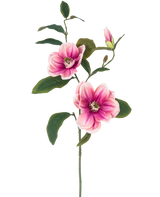 Die Kunstblume Magnolie 82 cm rosa/weiß hat einen einzelnen Stiel mit zwei großen rosa-weißen Magnolienblüten, einer Knospe und mehreren dunkelgrünen Blättern vor einem schlichten weißen Hintergrund.