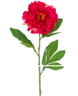 Die künstliche Pfingstrose 77 cm rot ist eine einzelne künstliche Pfingstrose mit einer großen, leuchtend roten Blüte und grünen Blättern an einem langen Stiel, dargestellt vor einem weißen Hintergrund.