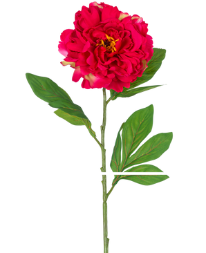 Die künstliche Pfingstrose 77 cm rot ist eine einzelne künstliche Pfingstrose mit einer großen, leuchtend roten Blüte und grünen Blättern an einem langen Stiel, dargestellt vor einem weißen Hintergrund.