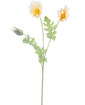 Eine zarte botanische Illustration einer künstlichen Mohnblume, 73 cm, cremefarben, mit zwei offenen gelben Blüten und einer geschlossenen Knospe auf grünen Stielen mit gezackten Blättern, vor einem weißen Hintergrund.