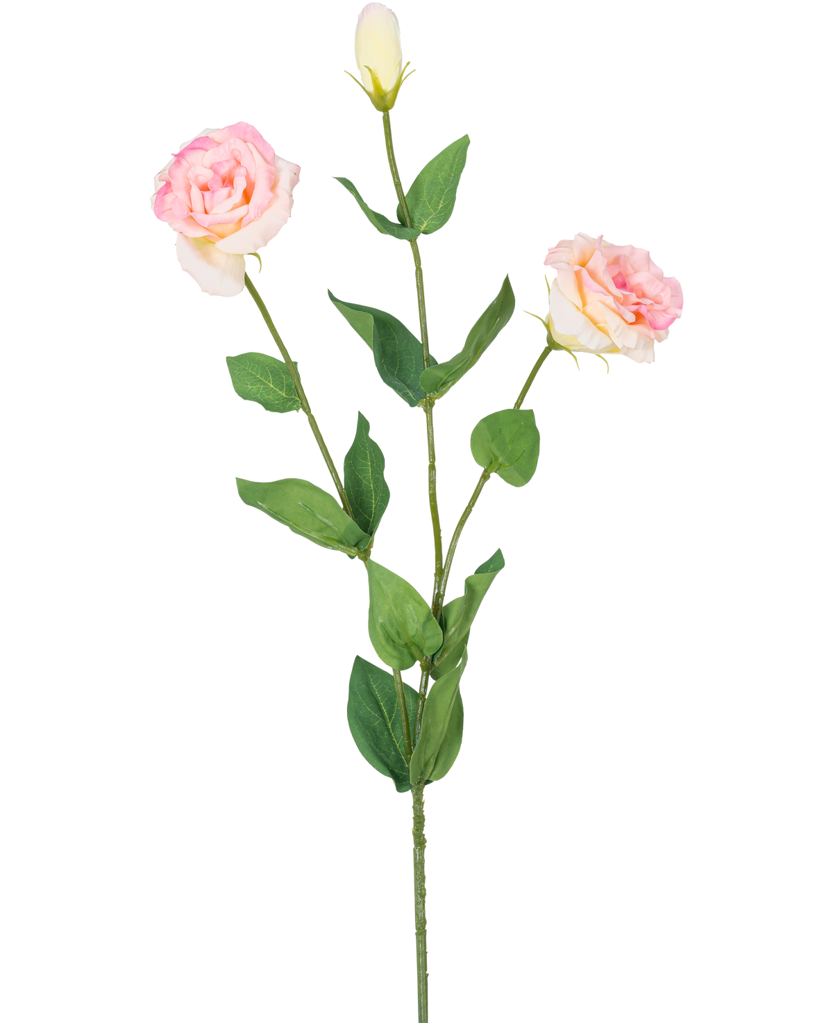 Der künstliche Eustoma Real Touch Hellrosa 72 cm hat einen einzelnen grünen Stiel mit zwei blühenden hellrosa Blüten und einer geschlossenen Knospe, umgeben von grünen Blättern, vor einem schlichten weißen Hintergrund.