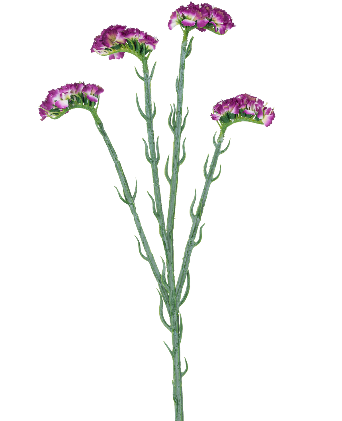 Der künstliche Zweig Statice 64 cm dunkelviolett hat drei schlanke grüne Stiele mit mehreren Zweigen, die jeweils mit einer Reihe kleiner, gerüschter dunkelvioletter Blüten bedeckt sind, alle vor einem weißen Hintergrund.
