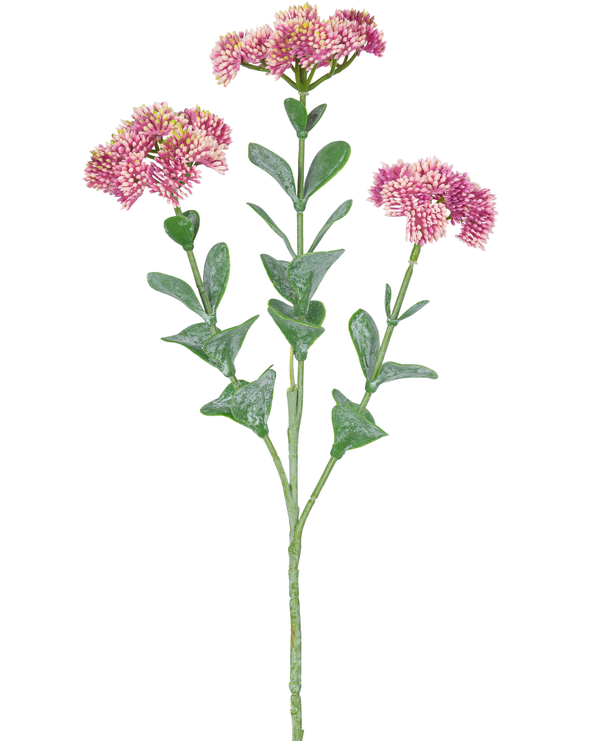Der künstliche Zweig Sedum 56 cm hellrosa hat einen einzelnen grünen Stiel mit mehreren Zweigen, die jeweils mit Büscheln kleiner, hellrosa Blüten mit abgerundeten Blütenblättern vor einem weißen Hintergrund verziert sind.