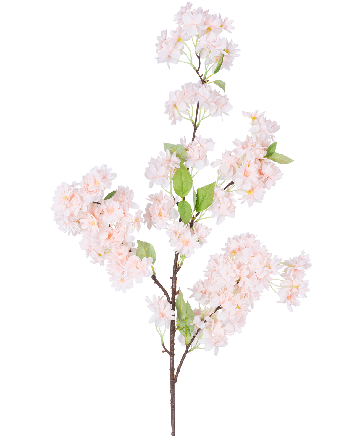Eine einzelne künstliche Kirschblüte 100 cm hellrosa hat Büschel hellrosa Kirschblüten mit grünen Blättern auf weißem Hintergrund.