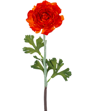 Die künstliche Ranunkelblume 51 cm dunkelorange hat eine leuchtend dunkelorangefarbene künstliche Ranunkelblume mit geschichteten Blütenblättern und grünen, gelappten Blättern an einem langen Stiel vor einem schlichten weißen Hintergrund.