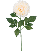 Die künstliche Blumen-Dahlie Real Touch Beige 72 cm besteht aus einer einzelnen beigen Dahlie mit geschichteten Blütenblättern und grünen Blättern an einem langen Stiel, isoliert auf einem weißen Hintergrund.
