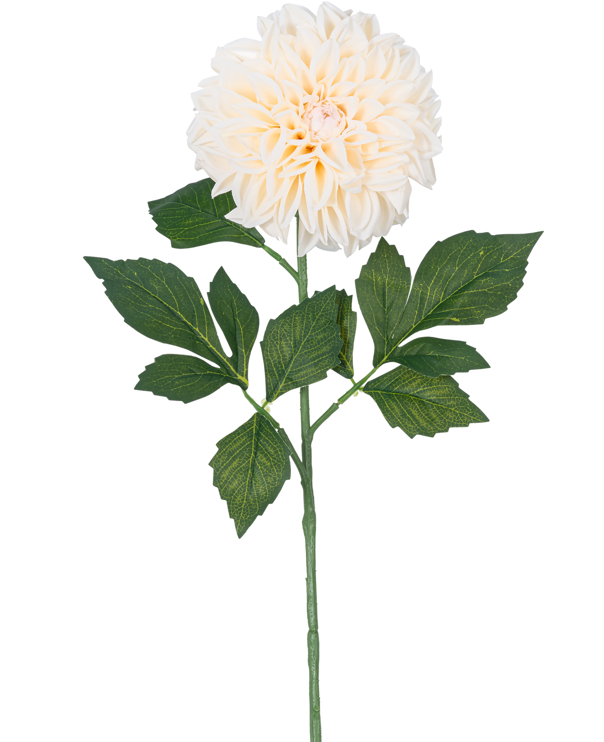 Die künstliche Blumen-Dahlie Real Touch Beige 72 cm besteht aus einer einzelnen beigen Dahlie mit geschichteten Blütenblättern und grünen Blättern an einem langen Stiel, isoliert auf einem weißen Hintergrund.