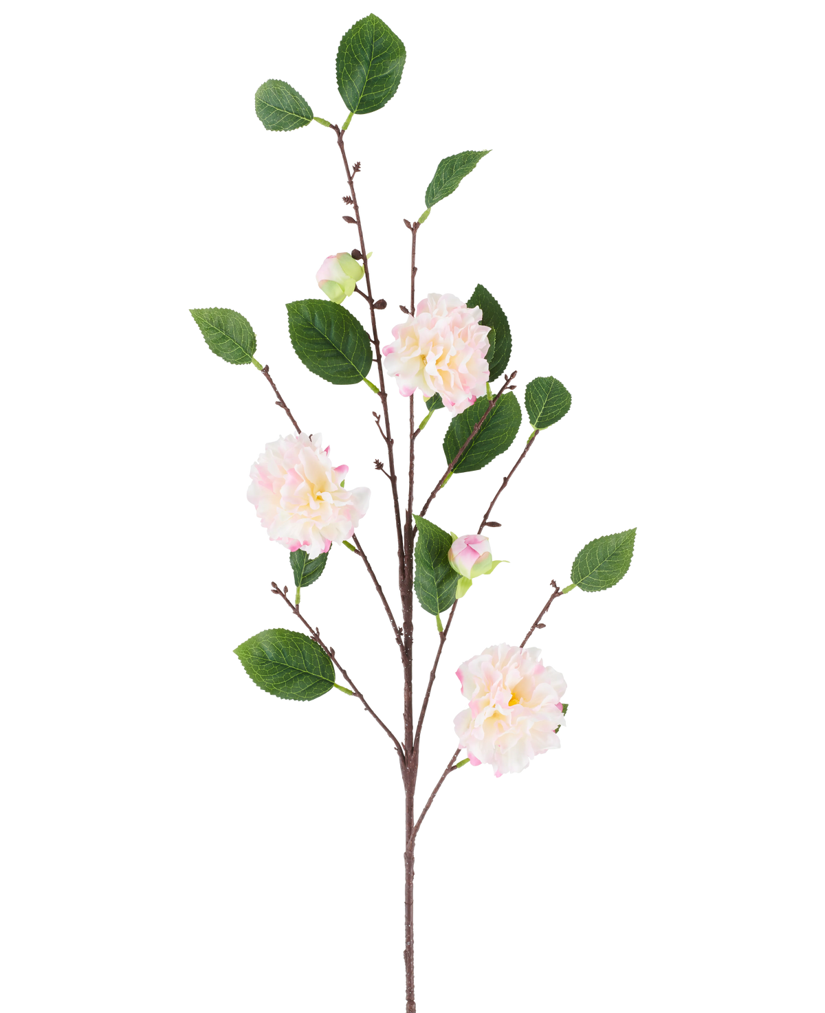 Ein einzelner Stiel der künstlichen japanischen Kamelie, 92 cm lang, mit mehreren Zweigen mit grünen Blättern und zarten, hellrosa, kamelienähnlichen Blüten, dargestellt vor einem schlichten weißen Hintergrund.