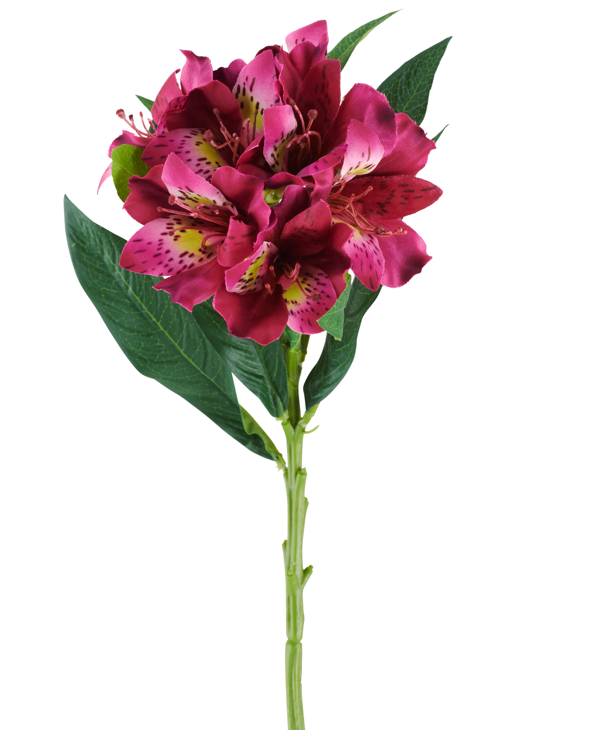Ein einzelner Stiel der künstlichen Alstroemeria-Blume mit einer Größe von 74 cm in Rot- und Lilatönen, mit lebensechten Blüten und grünen Blättern, isoliert vor einem weißen Hintergrund.