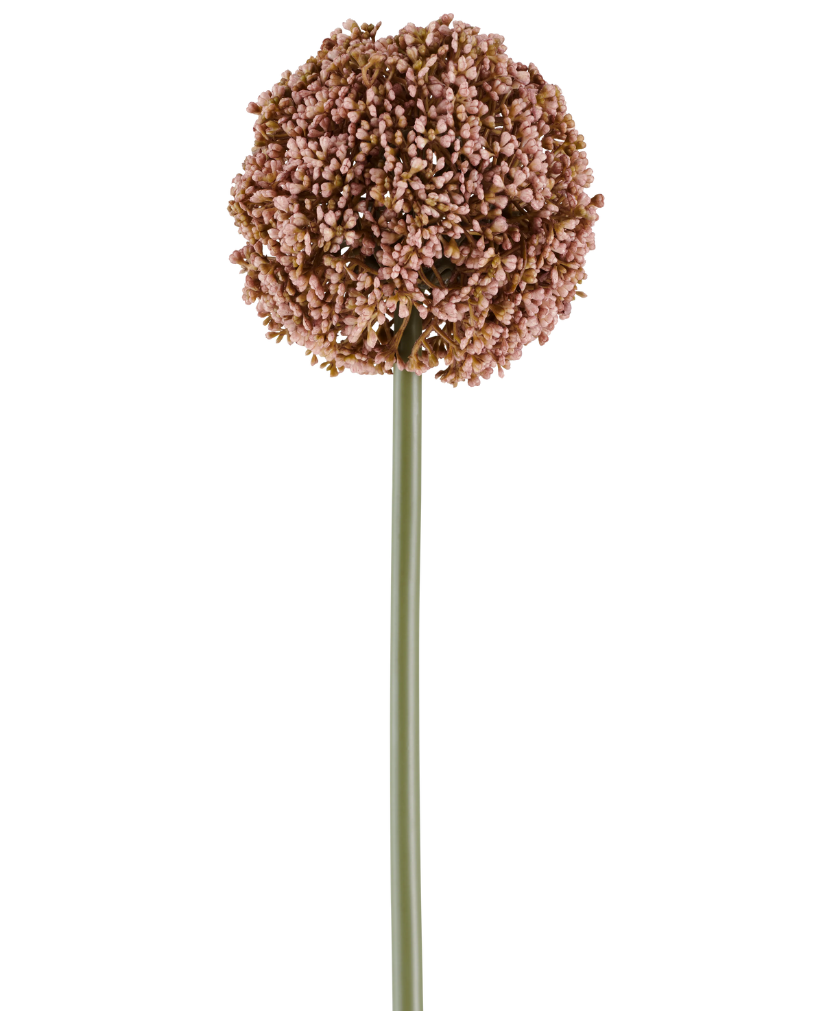 Eine einzelne künstliche Alliumblume von 75 cm in Lila mit einem langen grünen Stiel und einer großen, runden Gruppe kleiner lila Knospen, abgebildet auf einem weißen Hintergrund.