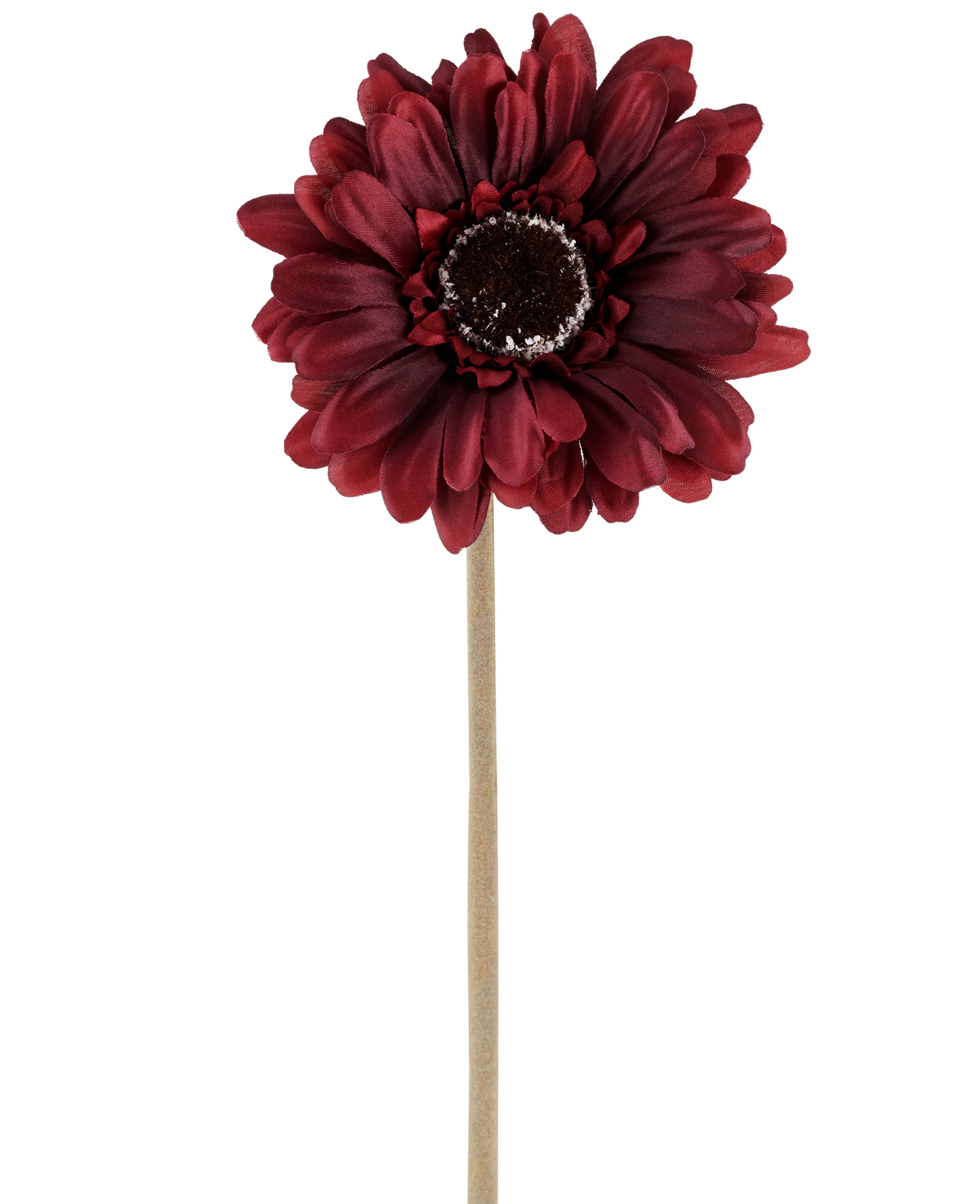 Die Kunstblume Gerbera 53 cm Bordeaux besteht aus einer künstlichen Gerbera in einem satten, dunkelroten Farbton mit geschichteten Blütenblättern und einem braunen Herzen, die an einem langen, geraden, hellen Stiel befestigt ist und vor einem schlichten weißen Hintergrund präsentiert wird.