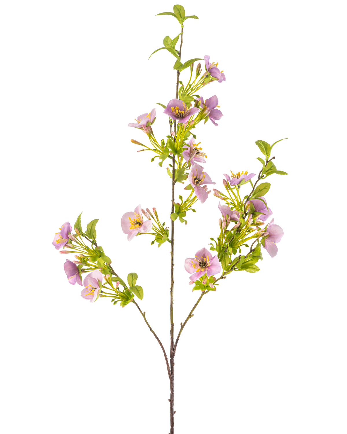Die künstliche Blume Quisqualis 110 cm lila hat einen langen, schlanken Stiel mit mehreren grünen Blättern und Büscheln zarter hellvioletter Blüten mit einem gelben Herzen auf weißem Hintergrund.