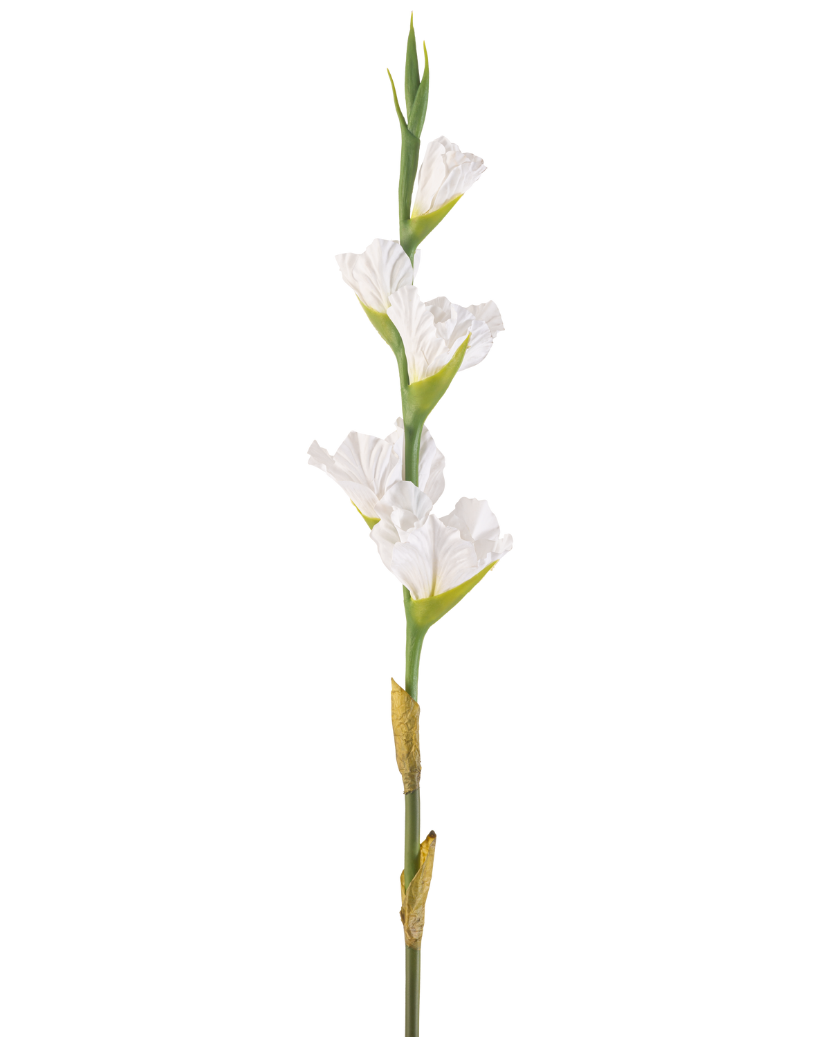 Die künstliche Gladiole 83 cm weiß ist ein einzelner künstlicher weißer Gladiolenstiel mit mehreren Blüten und grünen Knospen, der aufrecht vor einem schlichten weißen Hintergrund steht.