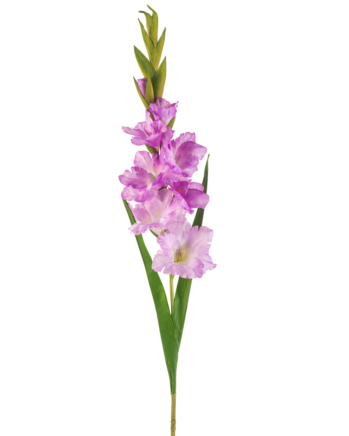 Ein einzelner künstlicher Gladiolus-Stiel von 93 cm mit mehreren rosa und hellvioletten Blüten mit langen grünen Blättern, isoliert auf weißem Hintergrund.