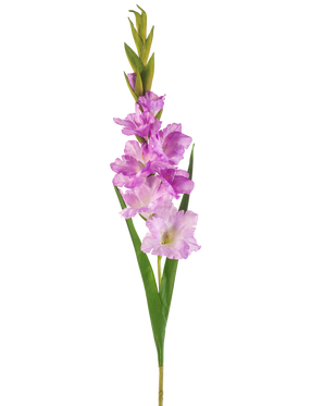 Ein einzelner künstlicher Gladiolus-Stiel von 93 cm mit mehreren rosa und hellvioletten Blüten mit langen grünen Blättern, isoliert auf weißem Hintergrund.