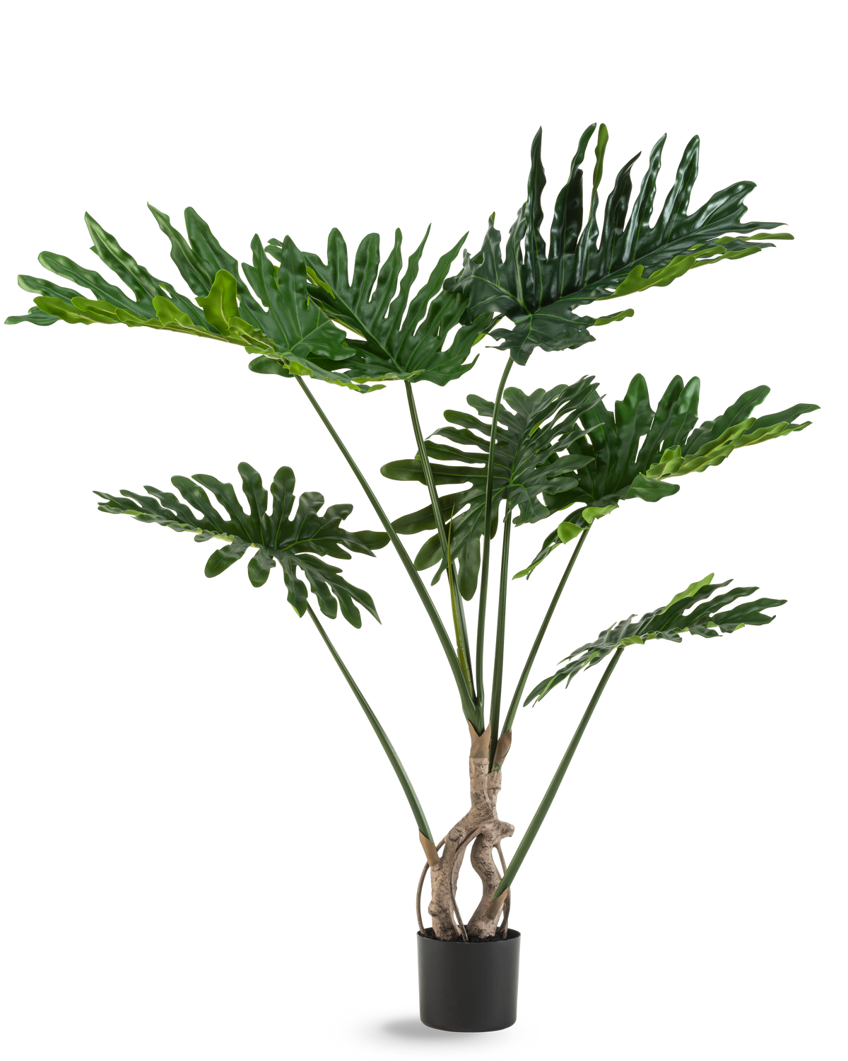 Die Kunstpflanze Philodendron 120 cm hat große, glänzende, tief eingeschnittene grüne Blätter und mehrere lange Stiele mit gedrehtem Stamm, vor einem schlichten weißen Hintergrund.