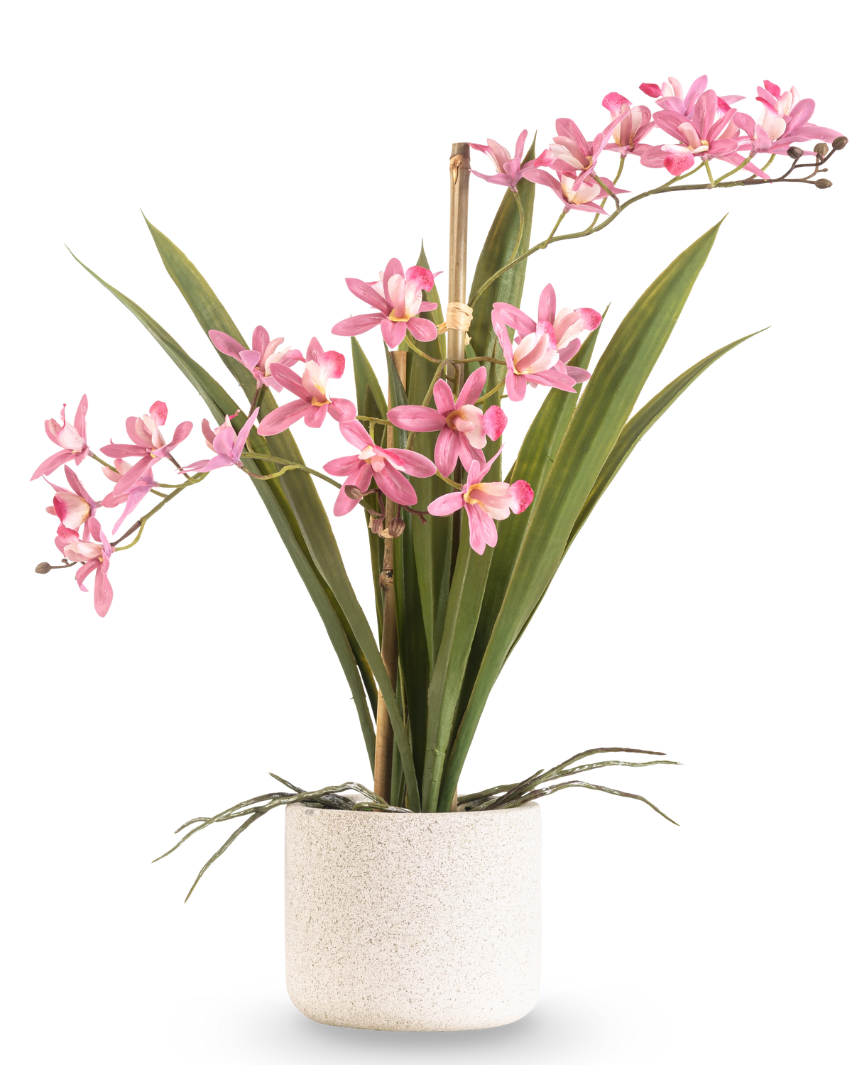 Die künstliche Pflanze Mini Cymbidium Real Touch 45 cm rosa hat lange grüne Blätter und mehrere rosa Blütenstiele, die in einem einfachen Topf mit weißer Textur und vor einem schlichten Hintergrund angeordnet sind.