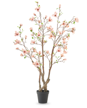 Die Kunstpflanze Magnolie 220 cm ist ein künstlicher Magnolienbaum im Topf mit mehreren braunen Zweigen, hellrosa Blüten und grünen Blättern in einem schlichten schwarzen Topf vor weißem Hintergrund.