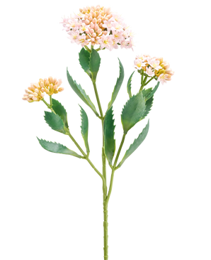 Die Kunstblume Kalanchoe 47 cm rosa hat einen einzelnen grünen Stiel mit drei Büscheln kleiner, hellrosa und pfirsichfarbener Blüten und länglichen, gezackten grünen Blättern, isoliert auf weißem Hintergrund.