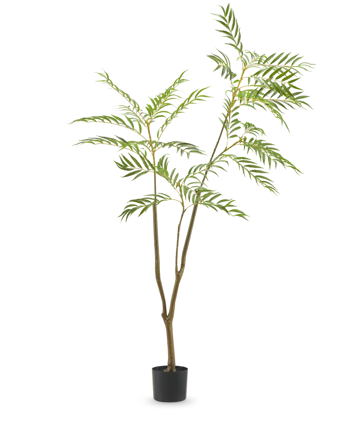 Die Kunstpflanze Mahonia 150 cm ist ein hoher Kunstbaum in einem Topf mit schlanken braunen Stämmen und langen, schmalen grünen Blättern, dargestellt vor einem schlichten weißen Hintergrund.
