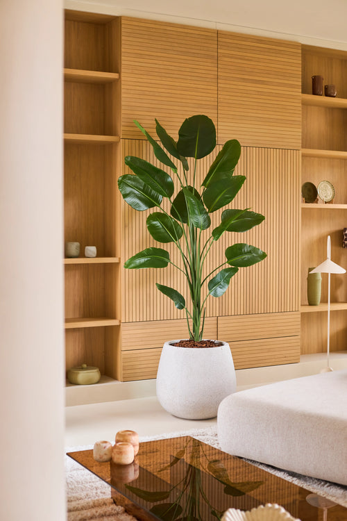 Eine 210 cm große künstliche Strelitzia-Pflanze mit Real-Touch-Finish steht prominent in einem modernen Wohnzimmer mit hellen Holzbrettern, minimalistischem Dekor und neutralen Möbeln. Diese pflegeleichte Pflanze verfügt über ein Real-Touch-Finish für ein naturgetreues Aussehen und unterstreicht die stilvolle und friedliche Atmosphäre des Raumes.