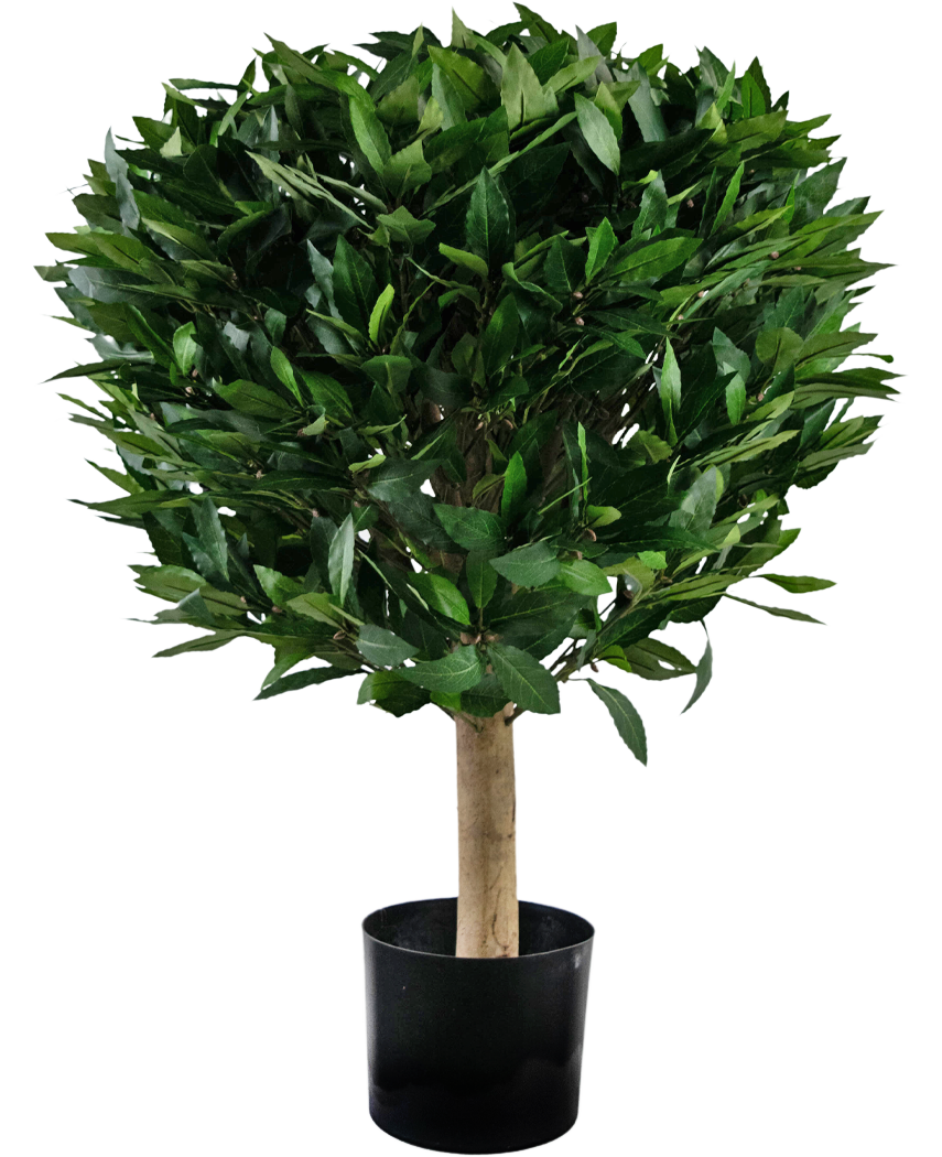 Künstliche Zypressen 61 Cm - UV-beständige Kunstpflanzen Für Garten & Balkon