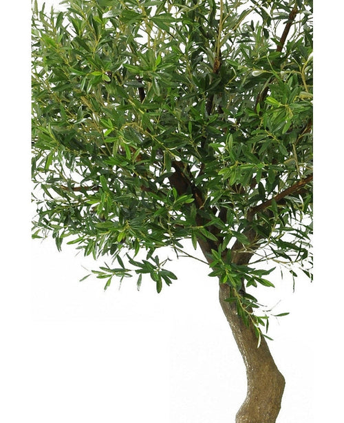 Eine Nahaufnahme des künstlichen Olivenbaums 270 cm ohne Oliven, mit einem schlanken braunen Stamm und dichten grünen Blättern in dekorativen Töpfen vor einem schlichten weißen Hintergrund.