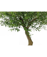 Eine Nahaufnahme des künstlichen Olivenbaums 270 cm mit Oliven zeigt den Stamm mit dichten grünen Blättern und Zweigen vor weißem Hintergrund.