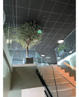 Eine moderne Innentreppe mit Glasgeländer führt zu einem Treppenabsatz mit einem künstlichen Olivenbaum mit Oliven (270 cm) in einem großen Topf, der unter einer Decke mit Gittermuster, eingelassener Beleuchtung und einem sichtbaren grünen Notausgangsschild platziert ist.