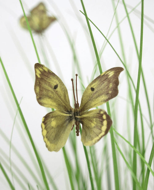 Ein Kunstrasen-Schmetterlings-Zwiebelgras-Topf, 90 cm, feuerfest, zeigt einen gelb-braunen Schmetterling, der auf dünnen grünen Blättern ruht, mit einem weiteren schwachen Schmetterling im hellen Hintergrund.